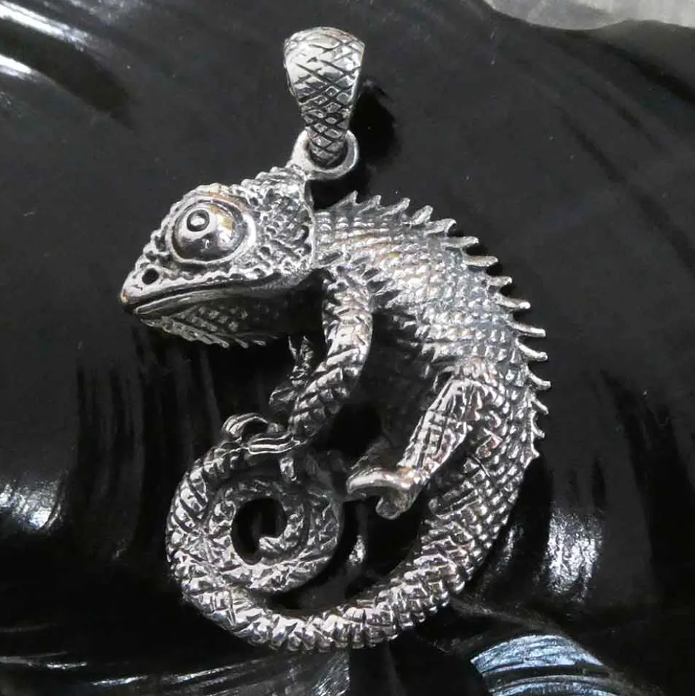 Chamäleon Schmuck Anhänger 925 Silber