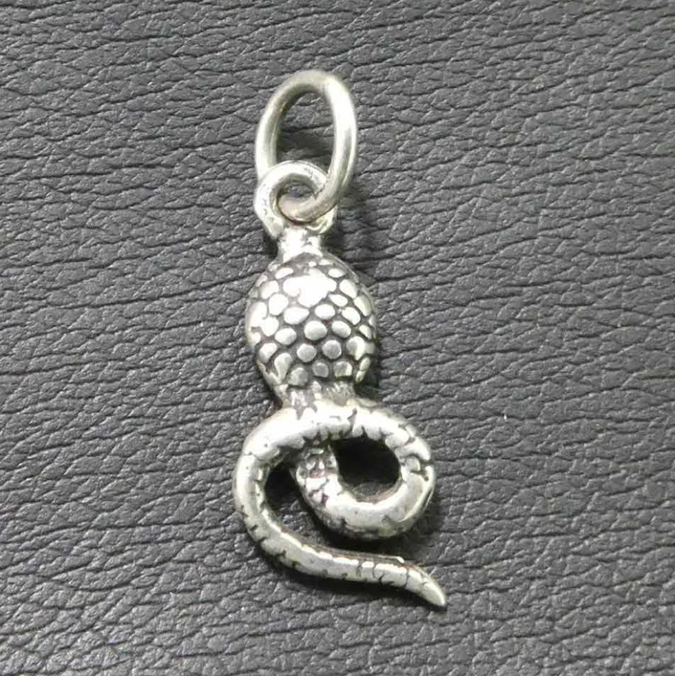 Cobra Schlange Schmuck Kettenanhänger 925 Silber