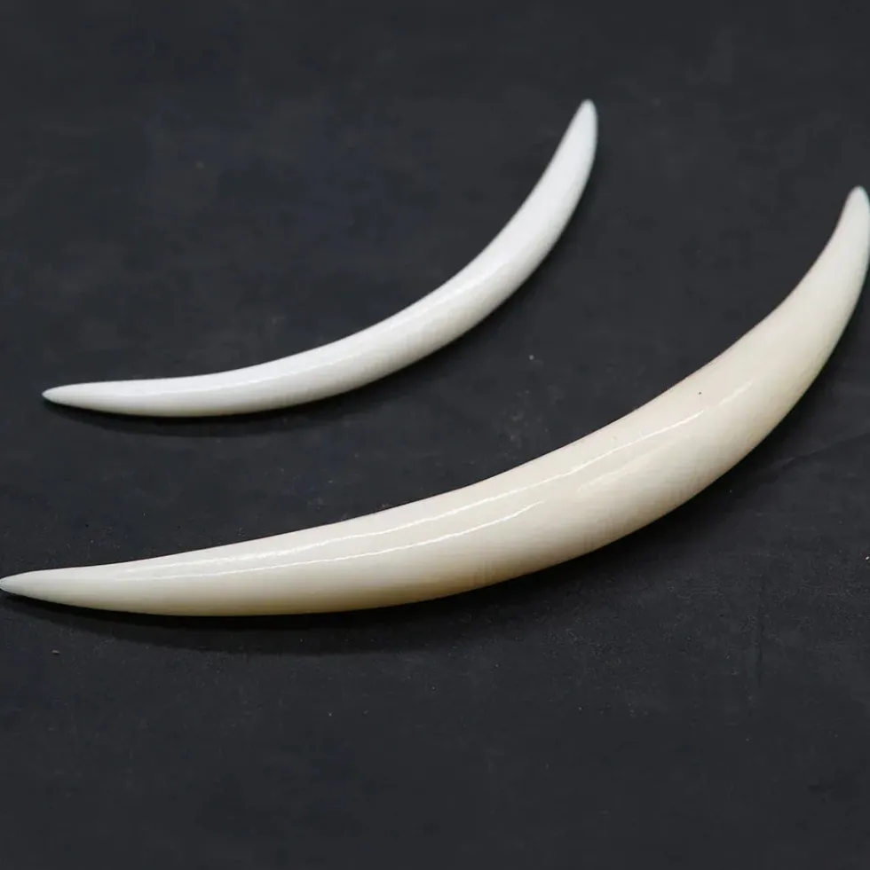 Dehnungssichel Ohrpiercing Knochen Stärke 4 - 8mm