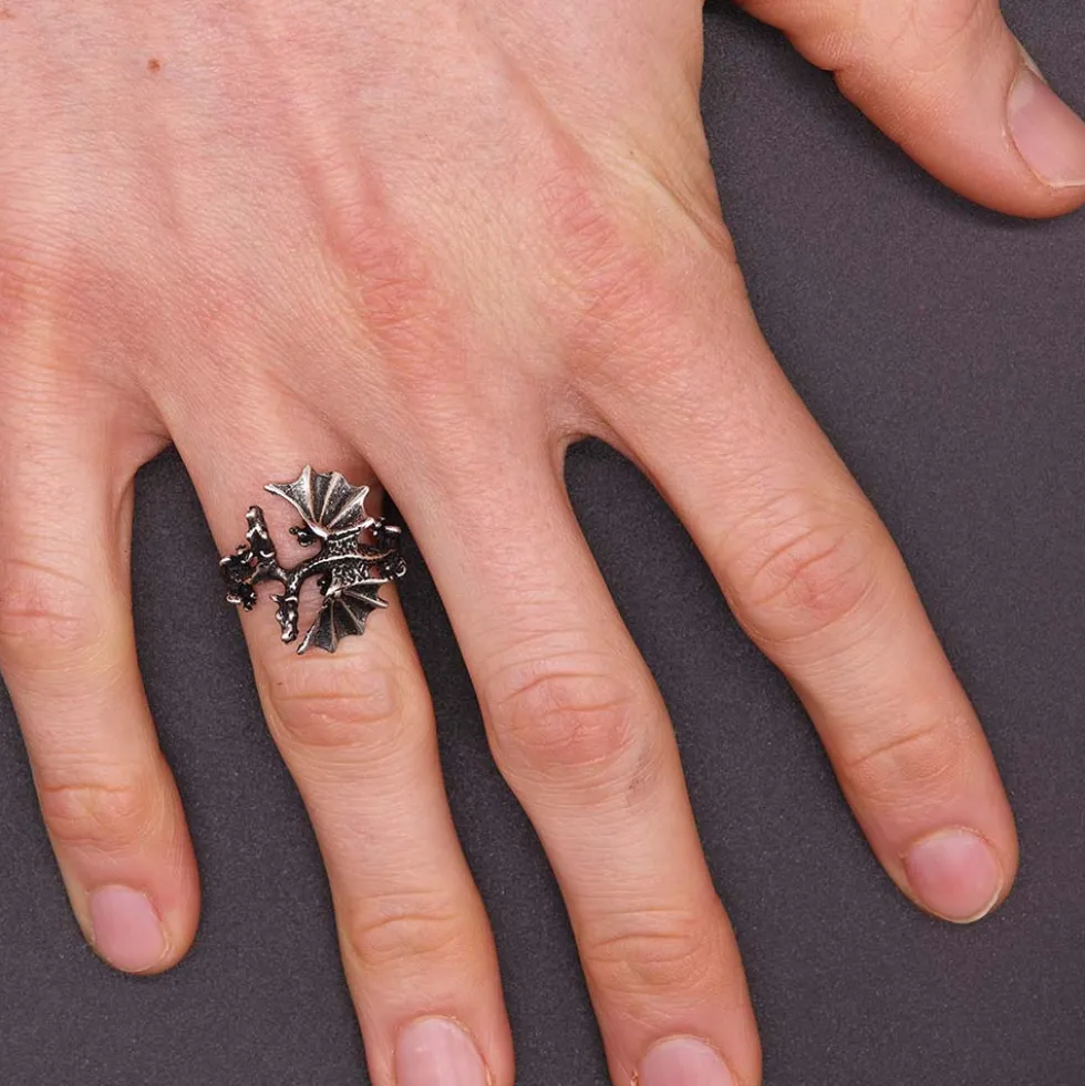 Drachen Ring Schmuck Silber kämpfende Drachen 925 Silber