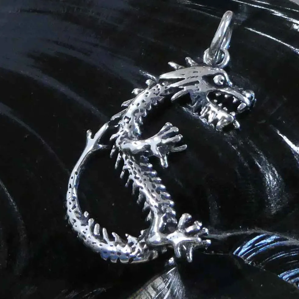 Drache Schmuck Anhänger aus Silber Knochen Drache