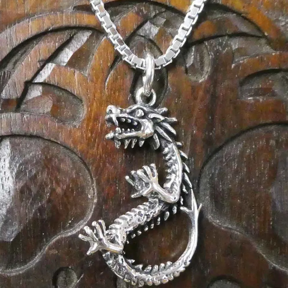 Drache Schmuck Anhänger aus Silber Knochen Drache