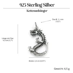 Drache Schmuck Anhänger aus Silber Knochen Drache