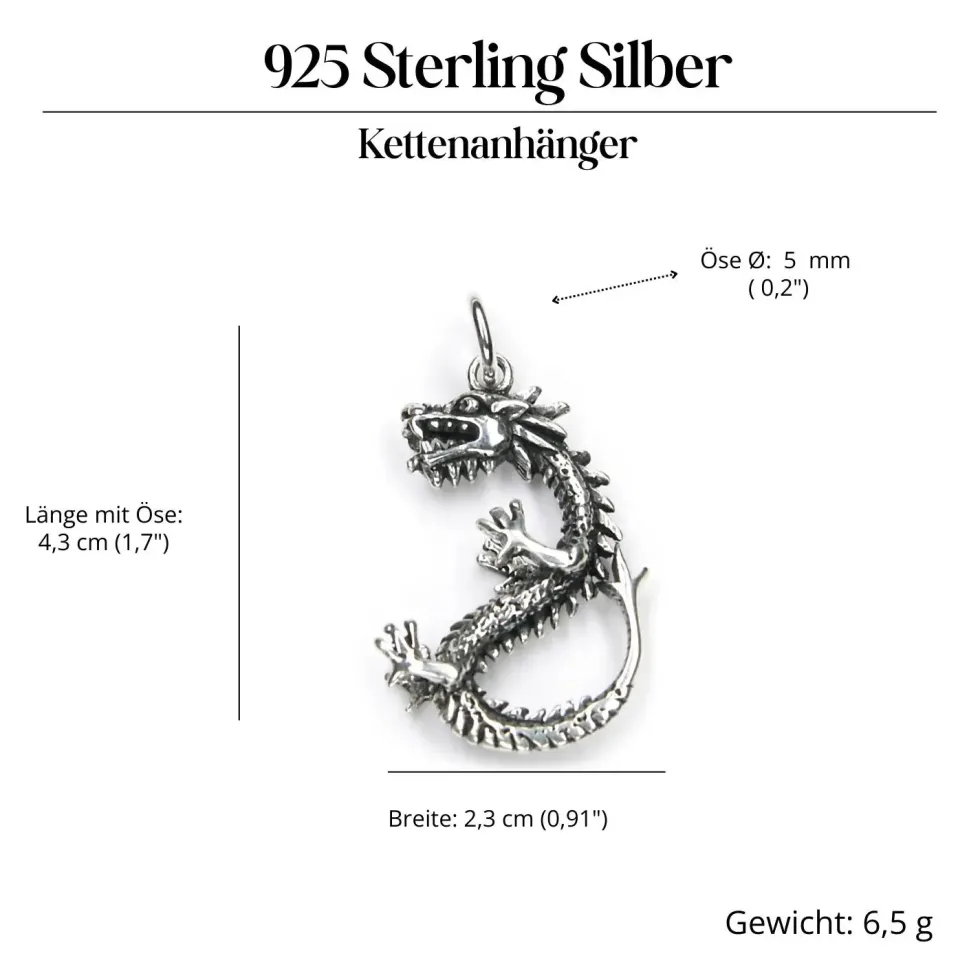 Drache Schmuck Anhänger aus Silber Knochen Drache