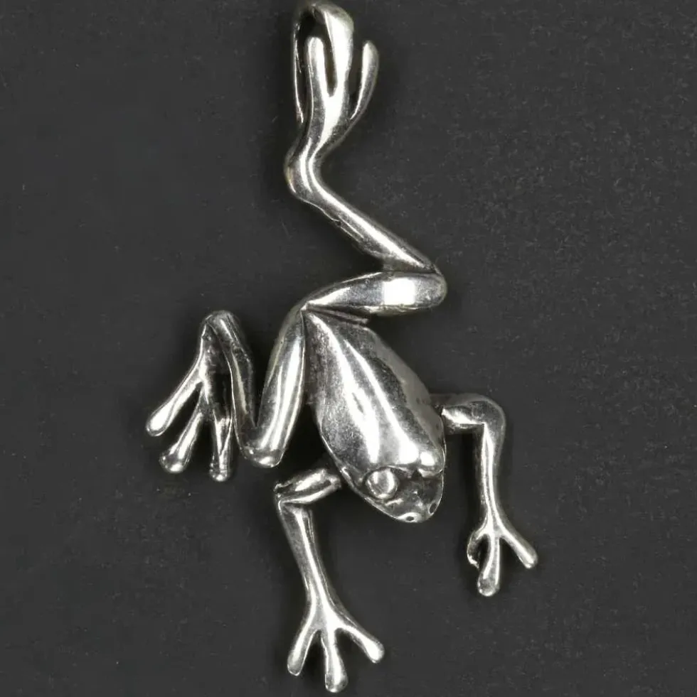 Frosch Schmuck Anhänger Silber Kettenanhänger 925/000