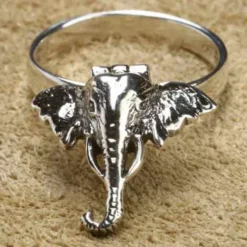 Giftring Elefant Ring mit Fach Silber Schmuck 925 Silber