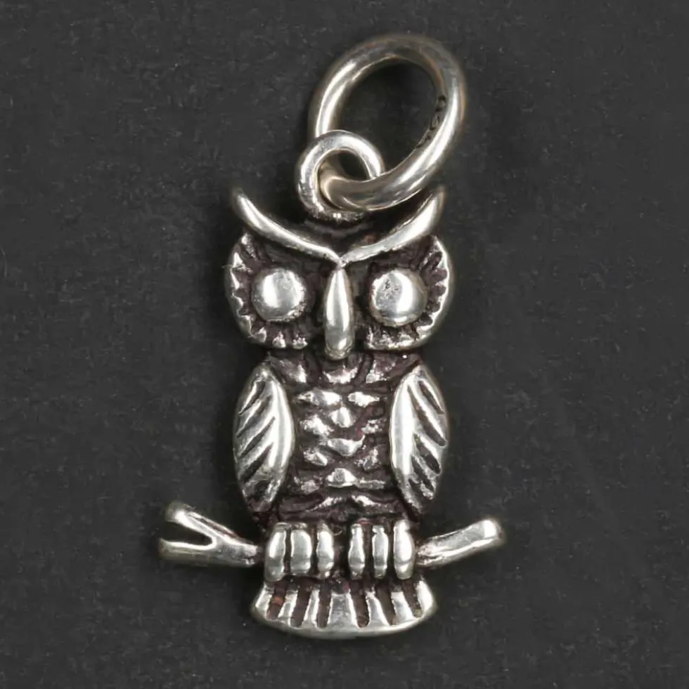 kleine Eule Schmuck Kettenanhänger 925 Silber