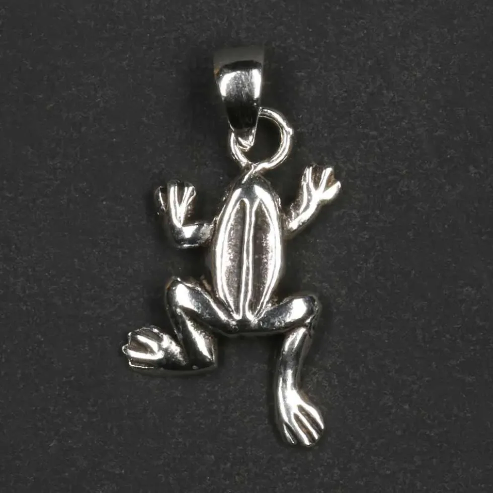 Kleiner Frosch Schmuck Kettenanhänger 925 Silber