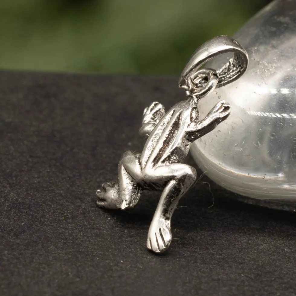 Kleiner Frosch Schmuck Kettenanhänger 925 Silber