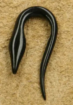 Piercing Snake Horn 3mm Ohr Fleshtunnel Ohrschmuck