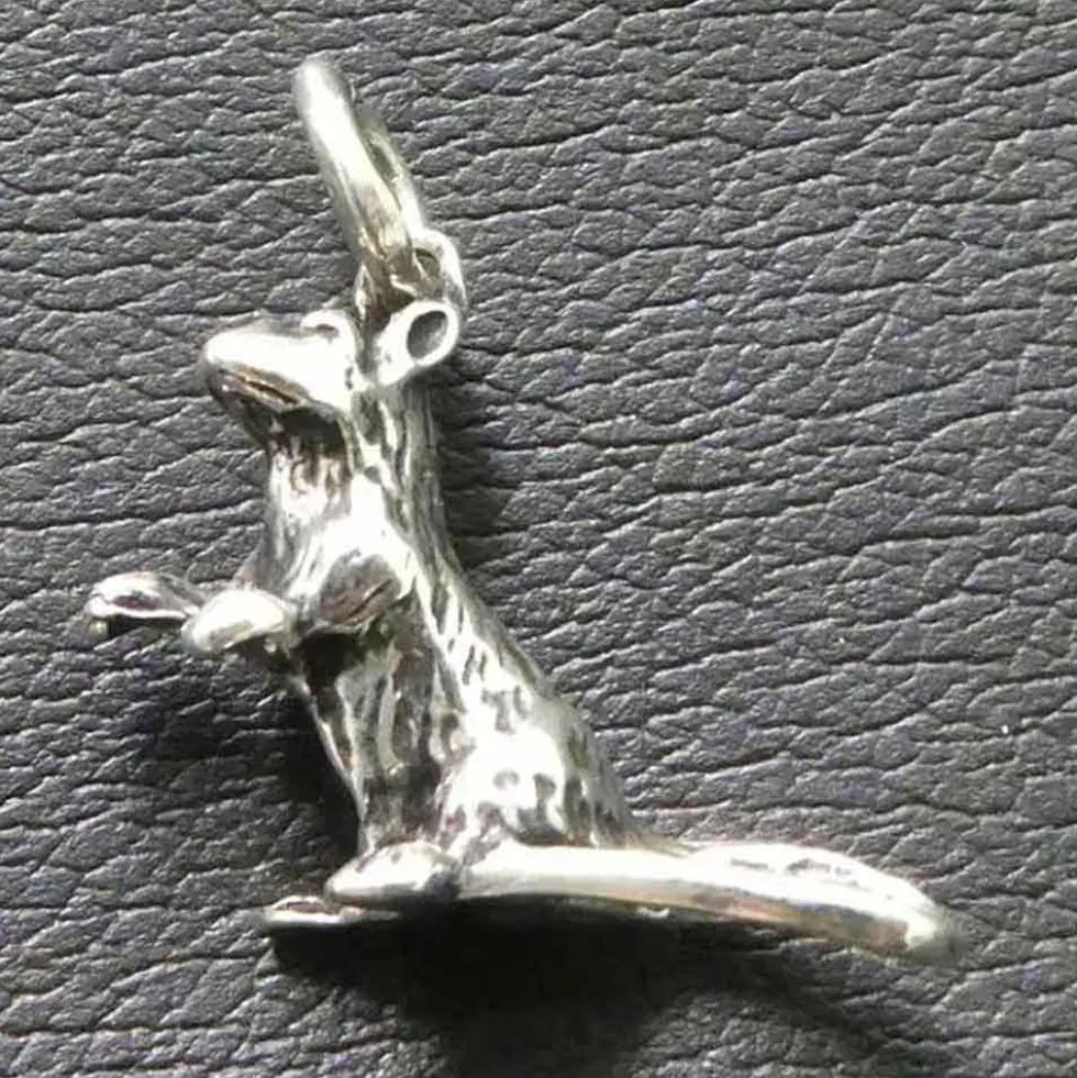 Ratte Schmuck Anhänger 925 Silber