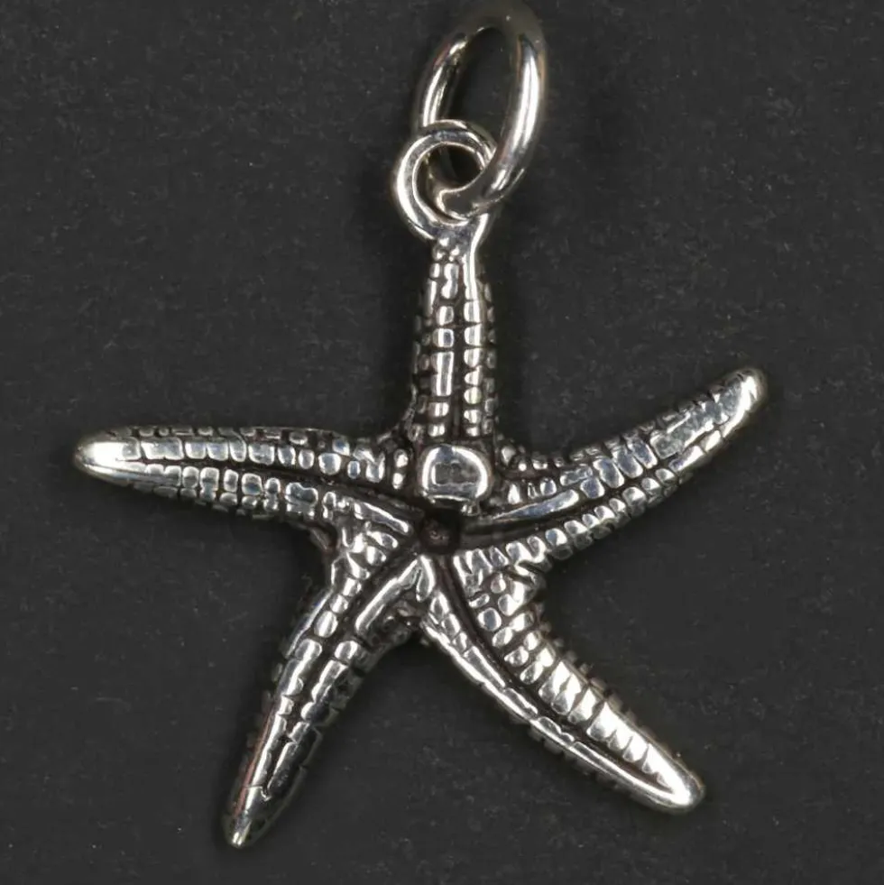 Seestern Schmuck Kettenanhänger Silberschmuck 925 Silber