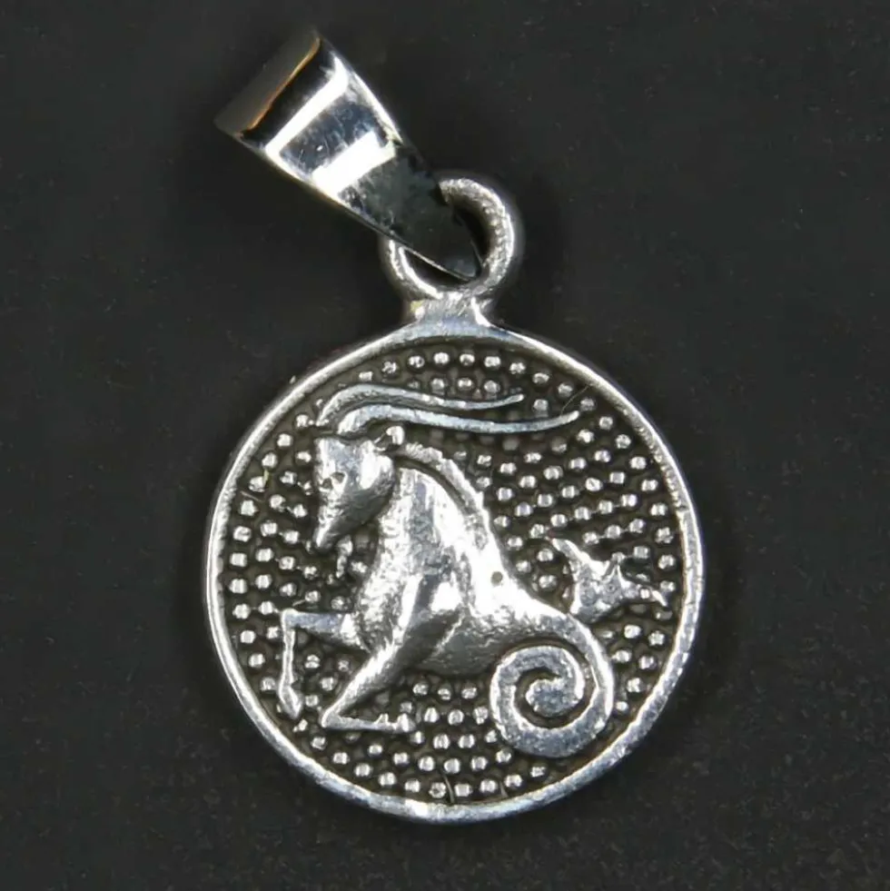 Steinbock Schmuck Astrologie Sternzeichen 925 Silber Anhänger Schmuck